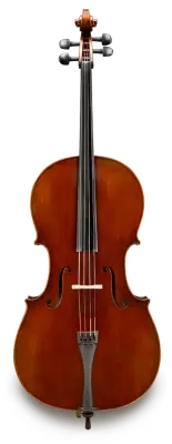 Eastman Strings - Doetsch Master Professional 4/4 Cello Outfit