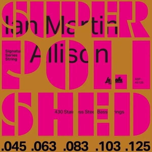 Ian Martin Allison Signature Bass Guitar 5-String Set 45-125