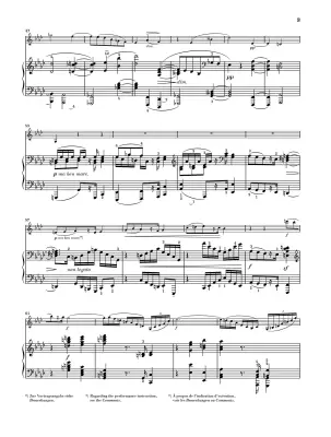 Sonatas Op. 120 - Brahms/Wiechert - Violin/Piano - Book