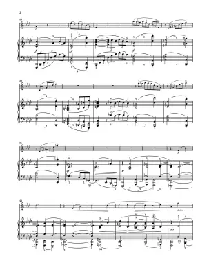 Sonatas Op. 120 - Brahms/Wiechert - Violin/Piano - Book