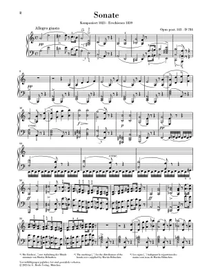 Sonata In A Minor, Op. Post. 143 D 784 - Schubert/Rahmer - Piano - Sheet