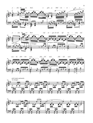 Wohin? from \'\'Die Schone Mullerin\'\', D 795 - Liszt/Lindmayr-Brandl - Piano - Sheet