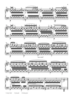 The Miller and the Brook from \'\'Die schone Mullerin\'\' D 795 - Schubert/Liszt/Lindmayr-Brandl - Piano - Sheet
