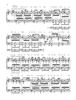 The Miller and the Brook from \'\'Die schone Mullerin\'\' D 795 - Schubert/Liszt/Lindmayr-Brandl - Piano - Sheet