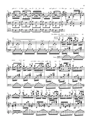 The Miller and the Brook from \'\'Die schone Mullerin\'\' D 795 - Schubert/Liszt/Lindmayr-Brandl - Piano - Sheet