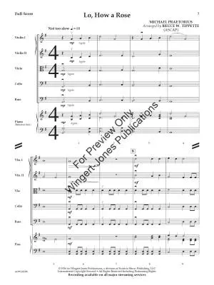 Lo, How a Rose - Praetorius/Tippette - String Orchestra - Gr. 1.5