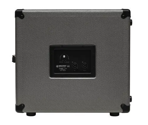 Neodymium Series 112 Bass Cabinet