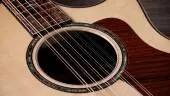 Next Generation 854ce 12-String Spruce/Rosewood Acoustic-Electric Guitar with Hardshell Case