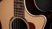 Next Generation 854ce 12-String Spruce/Rosewood Acoustic-Electric Guitar with Hardshell Case