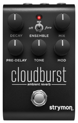 Strymon Cloudburst Flexible Reverb Pedal - Midnight Edition