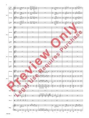 Any Way You Want It - Schon/Perry/Story - Concert Band (Flex-Band) - Gr. 1