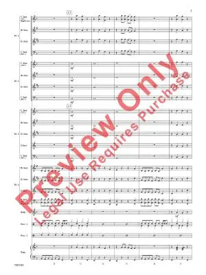 Any Way You Want It - Schon/Perry/Story - Concert Band (Flex-Band) - Gr. 1
