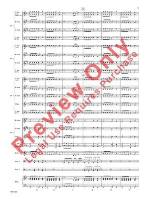 Any Way You Want It - Schon/Perry/Story - Concert Band (Flex-Band) - Gr. 1