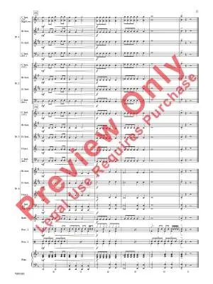 Any Way You Want It - Schon/Perry/Story - Concert Band (Flex-Band) - Gr. 1