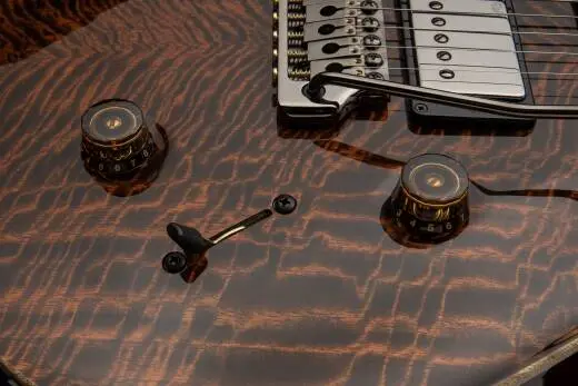 Studio Mango Top Limited Edition Electric Guitar with Case - Orange Tiger