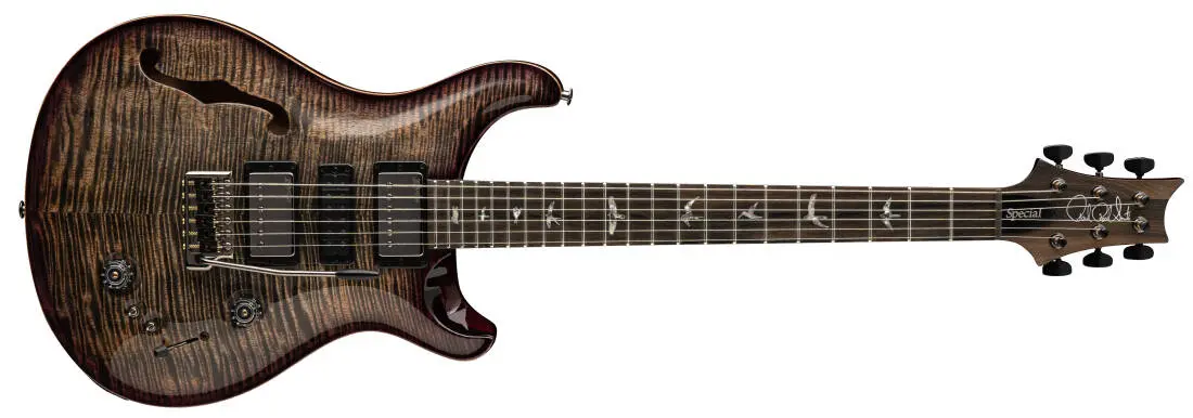 Special Semi-Hollow Mango Top Limited Edition Electric Guitar with Case - Charcoal Purple Burst