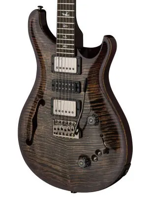 Special Semi-Hollow Mango Top Limited Edition Electric Guitar with Case - Charcoal Purple Burst
