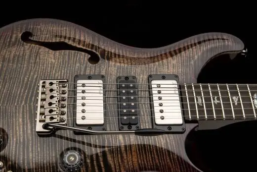 Special Semi-Hollow Mango Top Limited Edition Electric Guitar with Case - Charcoal Purple Burst