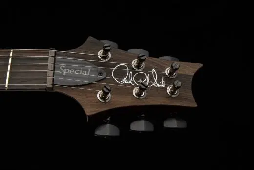 Special Semi-Hollow Mango Top Limited Edition Electric Guitar with Case - Charcoal Purple Burst