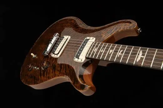 Paul\'s Guitar Mango Top Limited Edition Electric Guitar with Case - Tiger Eye