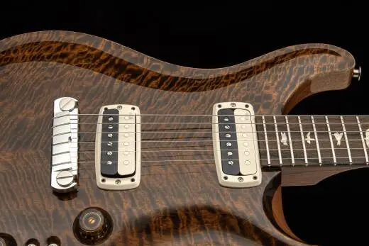 Paul\'s Guitar Mango Top Limited Edition Electric Guitar with Case - Tiger Eye