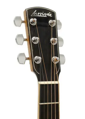 D-09 Rosewood Artist Series Dreadnought Acoustic Guitar with Case, Left-Handed