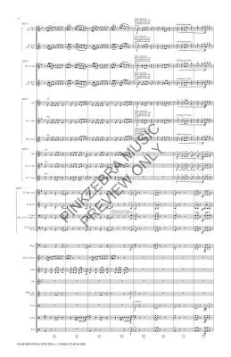 Fanfare for a New Era - Pinkzebra - Concert Band (Flex-Band) - Gr. 3