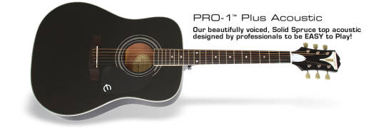 Pro-1 Plus Acoustic - Ebony