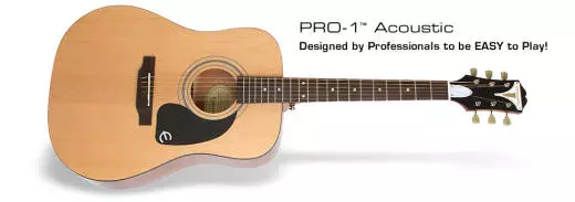 Pro-1 Acoustic - Natural