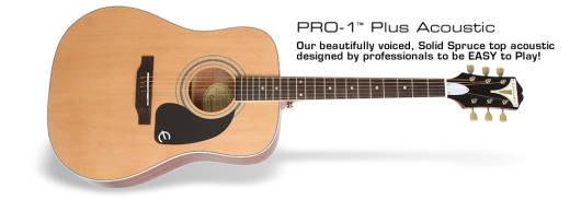 Pro-1 Plus Acoustic - Natural