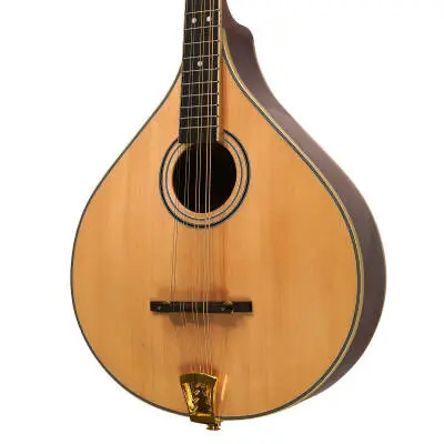 OM-800+ Octave Mandolin with Case (Left Handed)