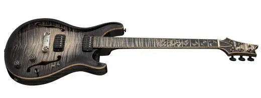 Private Stock 30th Anniversary Birds of a Feather Hollowbody I Electric Guitar