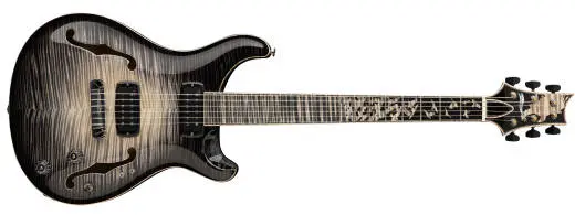 PRS Guitars - Private Stock 30th Anniversary Birds of a Feather Hollowbody I Electric Guitar