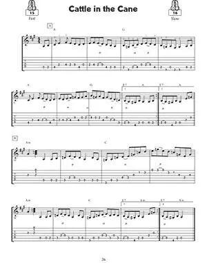 A Study in Flatpicking: Twenty Tunes & Variations - Troxel - Guitar - Book/Audio Online