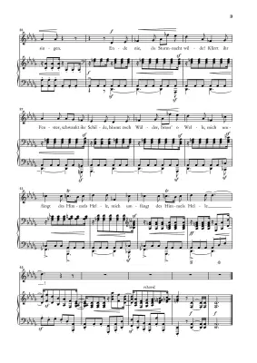 Twelve Poems Op. 35 - Schumann/Ozawa - Medium Voice/Piano - Book
