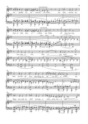 Twelve Poems Op. 35 - Schumann/Ozawa - Medium Voice/Piano - Book