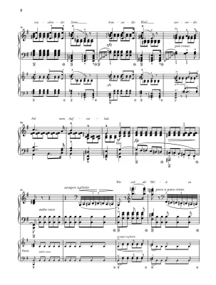 Resting Place from Schwanengesang, D957 - Schubert/Liszt - Piano - Book