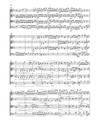 String Quartets III - Beethoven - Book - Hardcover