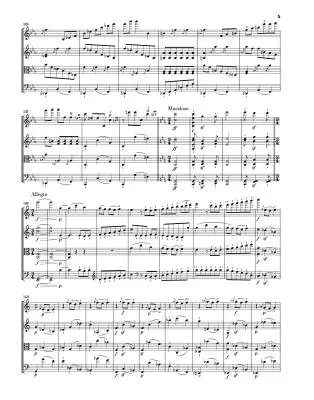 String Quartets III - Beethoven - Book - Hardcover