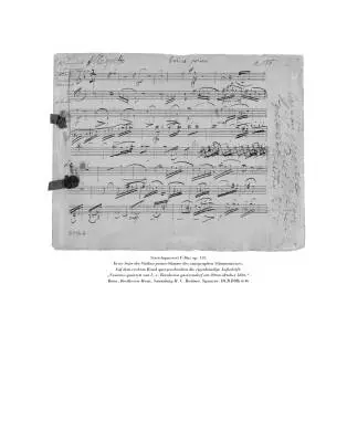 String Quartets III - Beethoven - Book - Hardcover