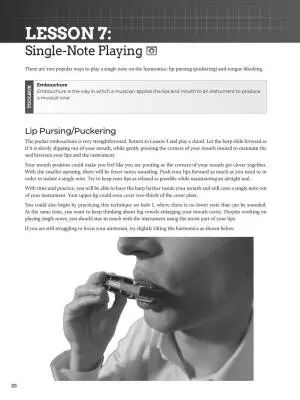 Do-It-Yourself: Harmonica - Reinfeld - Harmonica - Book/Audio/Video