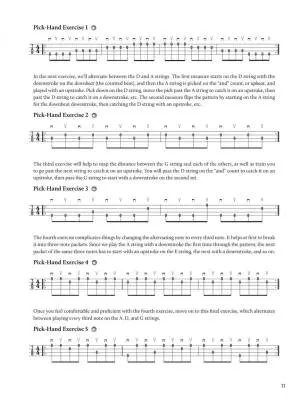Do-It-Yourself: Mandolin - Chapman - Mandolin TAB - Book/Audio/Video Online