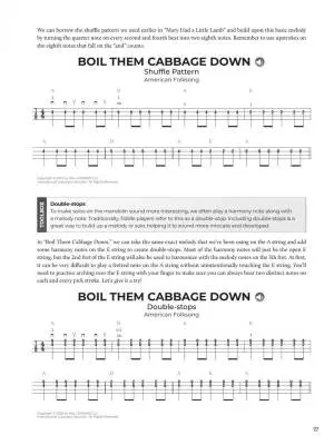 Do-It-Yourself: Mandolin - Chapman - Mandolin TAB - Book/Audio/Video Online