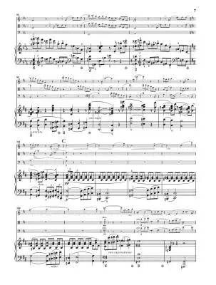 Piano Quartet in C Minor Op. 13 - Strauss/Jost - Parts Set