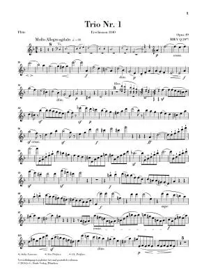 Piano Trio Op. 49  - Mendelssohn - Flute Part - Sheet