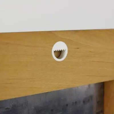 Original Engraving Plate Beethoven Mounted with Wooden Frame