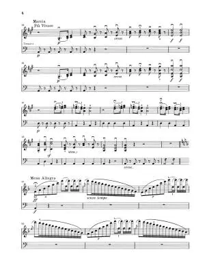 Cadenzas to Violin Concerto Op. 61 - Beethoven/Schneiderhan - Violin/Piano - Book