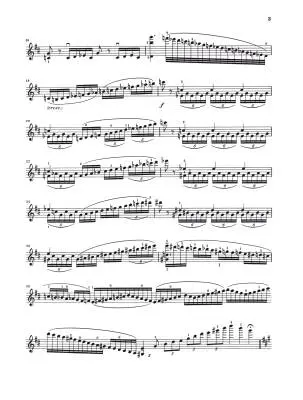 Cadenzas to Violin Concerto Op. 61 - Beethoven/Schneiderhan - Violin/Piano - Book