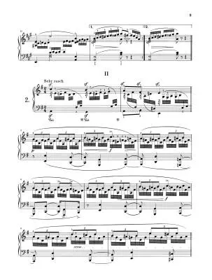 Complete Piano Works, Volume 6 - Schumann - Book - Hardcover