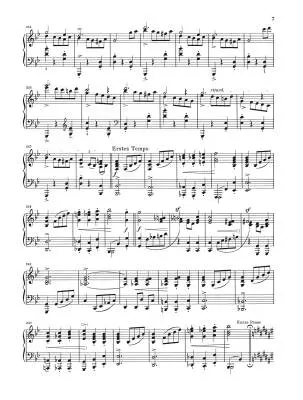 Complete Piano Works, Volume 5 - Schumann - Book - Hardcover